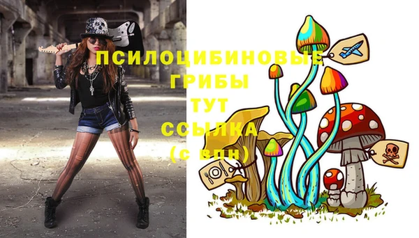 дмт Алексин