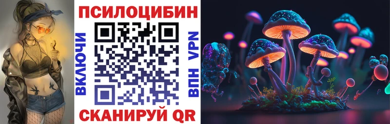 Галлюциногенные грибы Psilocybine cubensis  наркошоп  Грязовец 
